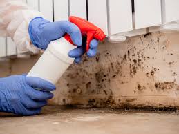 Best Biohazard Mold Removal  in Midway, KY